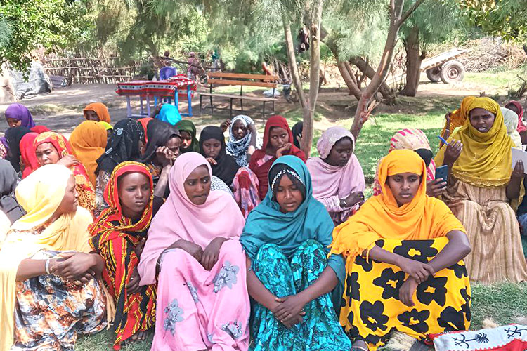 女性性器切除（FGM）根絶にむけたコミュニティでの対話セッション / ©プラン・インターナショナル