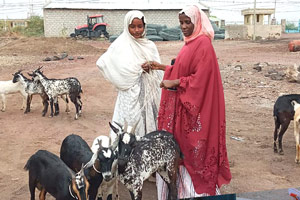 経済的に困窮している女性へのヤギの支給 / ©プラン・インターナショナル