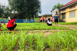 生徒たちが野菜栽培の技術を身につけ学校菜園での収穫量が倍増 / ©プラン・インターナショナル