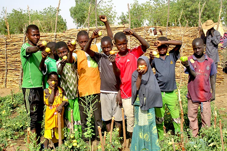 「栄養不良の子どもの食料支援」プロジェクト～ニジェール～