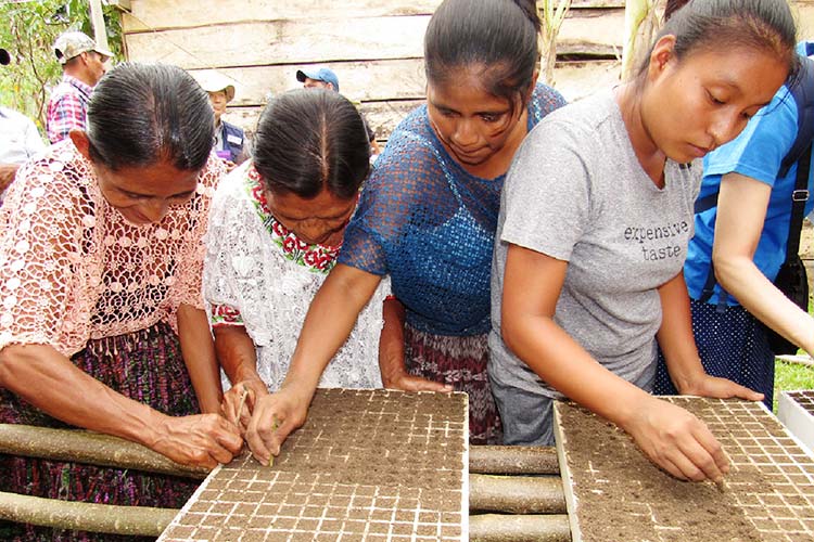 画像：「先住民族の女の子の収入向上」プロジェクト（グアテマラ）