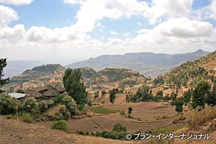 写真：エチオピアの農村風景