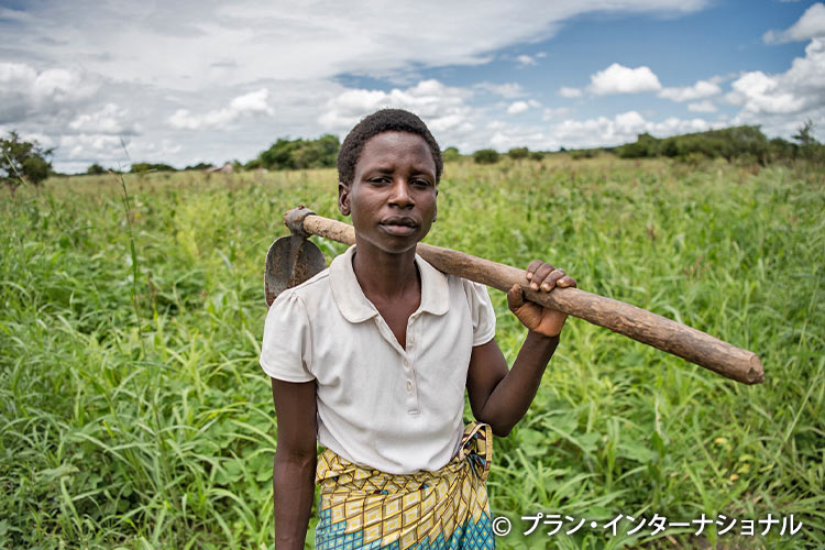 トウモロコシ畑で農作業に従事する女性（ザンビア）