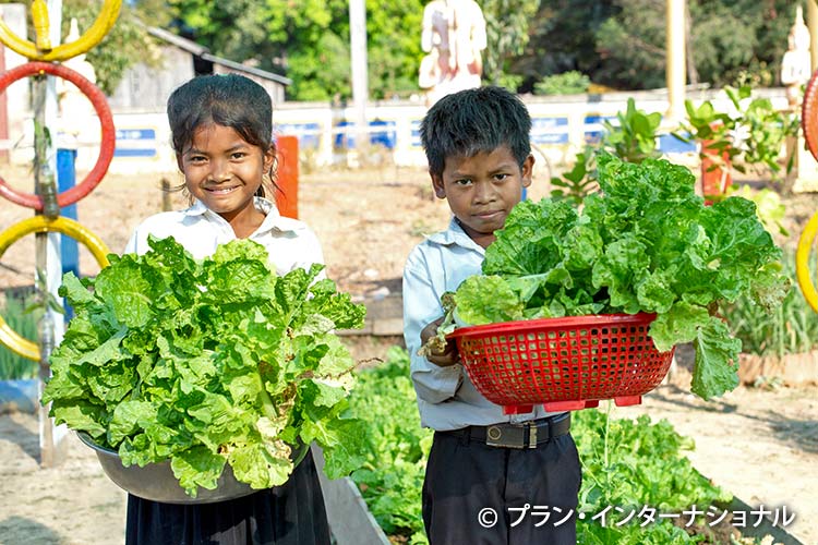 写真:小学生が学校菜園で育てた野菜の収穫