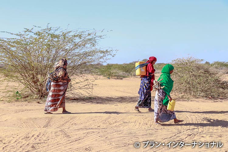 写真：水を求めて長い距離を歩く女性たち（ソマリア）
