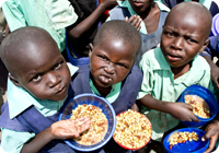 豆やトウモロコシの食事をとる小学校の子どもたち