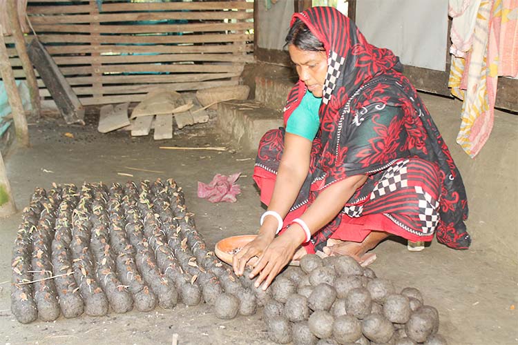 農業指導を受け、育てた苗の出荷準備をする女性 / ©プラン・インターナショナル