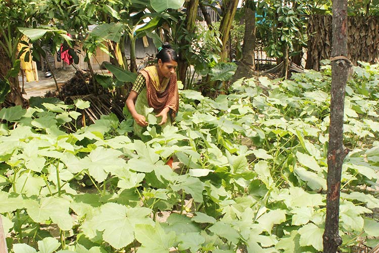 庭を有効に使い農作物を栽培する、農業技術トレーニング受講者 / ©プラン・インターナショナル