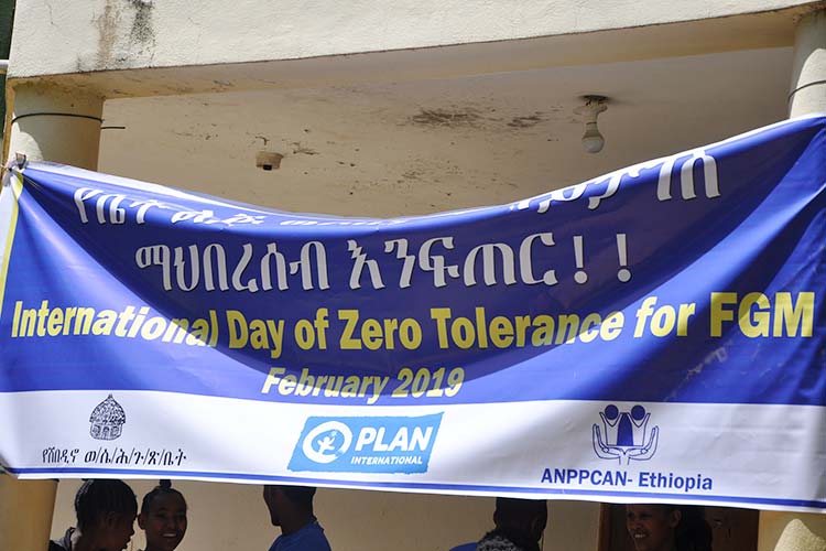 今年もFGMの根絶のための国際デーを祝う / ©プラン・インターナショナル