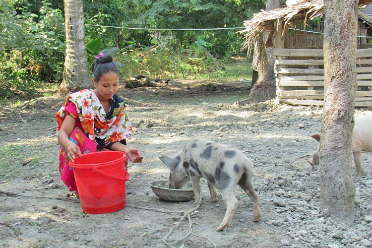 トレーニングを受けて養豚をする女性/ ©プラン・インターナショナル