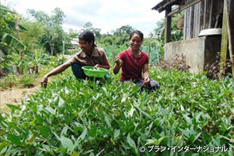 画像：野菜の収穫を喜ぶ母親たち