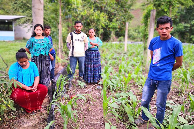 トウモロコシを栽培する起業クラブの若者たち / ©プラン・インターナショナル