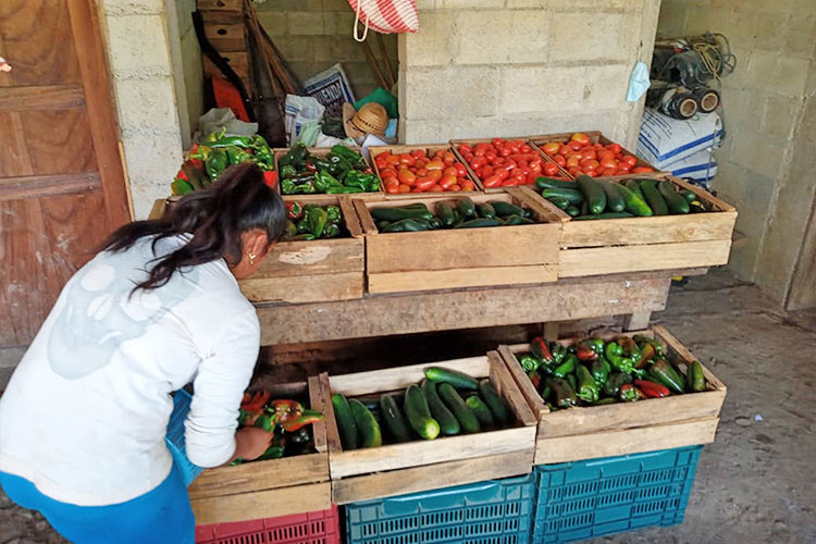 収穫した野菜を自宅で販売 / ©プラン・インターナショナル