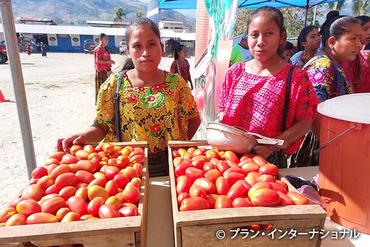 写真：収穫したトマトを持ち寄った先住民族の女性たち
