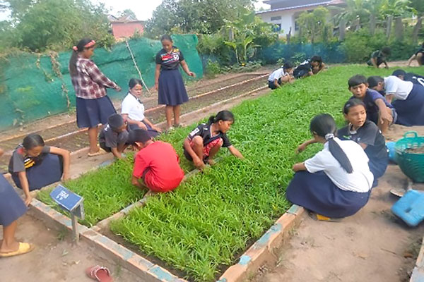 写真：野菜栽培に取り組む生徒たち