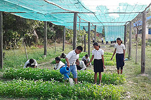子どもたちによる学校菜園 / ©プラン・インターナショナル