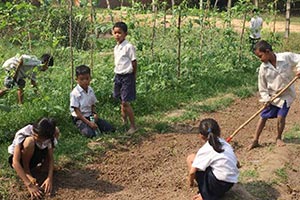 学校菜園で作物の世話をする生徒たち。男女で仲良く活動 / ©プラン・インターナショナル