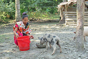 トレーニングを受けて養豚をする女性 / ©プラン・インターナショナル