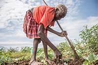 プランの支援で野菜を育てる女性（南スーダン） / ©プラン・インターナショナル