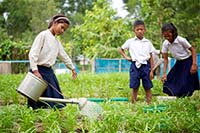 子どもたちが協力して学校菜園を運営 / ©プラン・インターナショナル