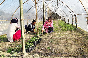 職業訓練で野菜栽培を学んだ女性たち / ©プラン・インターナショナル