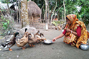 農業指導を受けたあと、アヒルを育てる女性 / ©プラン・インターナショナル