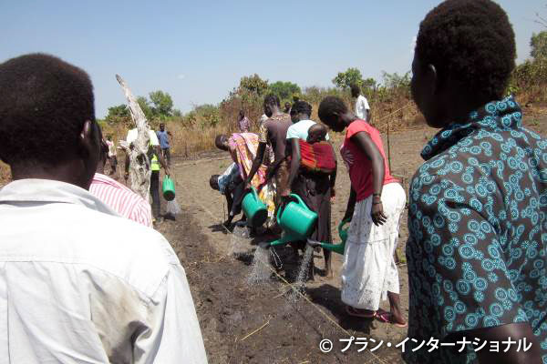 写真：農業研修で試験農地に水やりをする住民