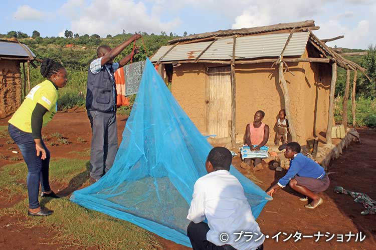 写真：蚊帳の使い方を説明するプランの職員