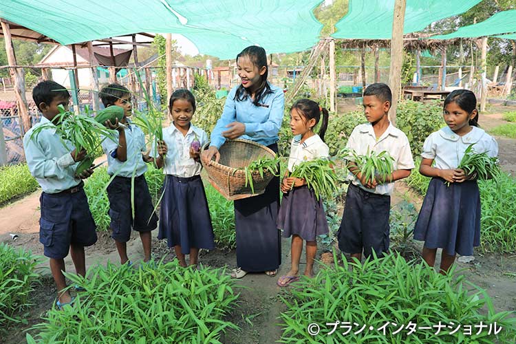 写真：学校菜園の管理は子どもたちの仕事
