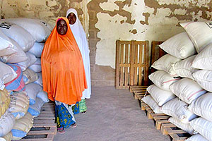 洪水で被災した穀物銀行への穀物支給 / ©プラン・インターナショナル