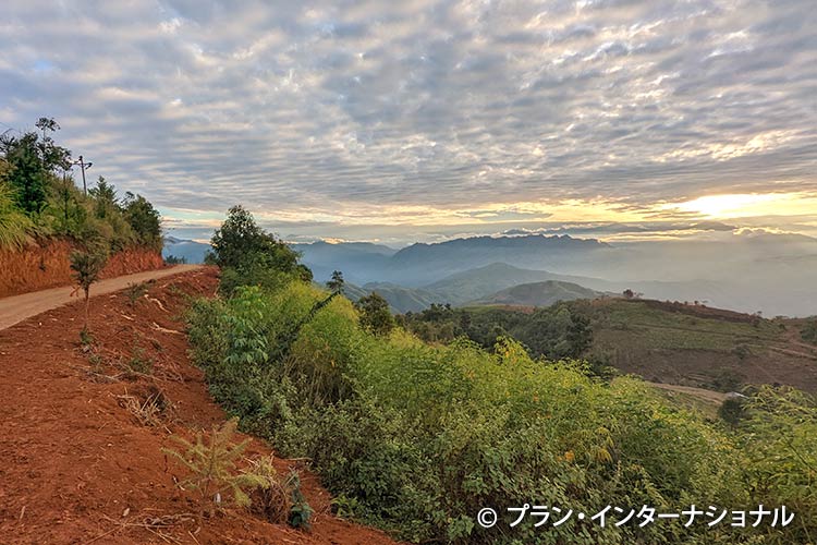写真：ライチャウ省
