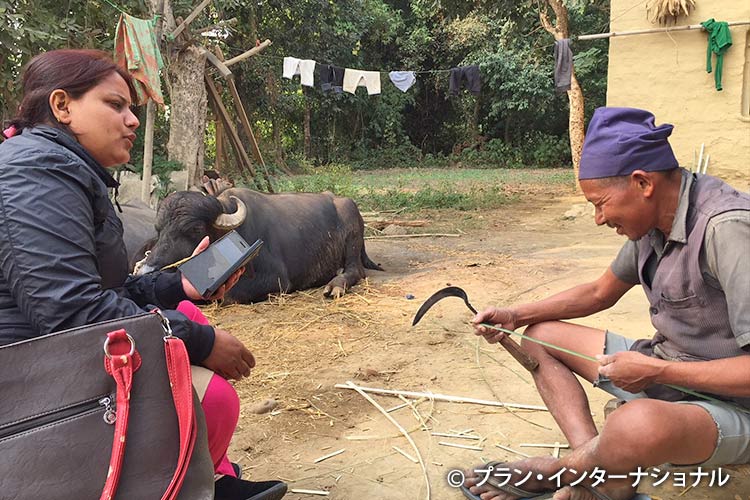 「早すぎる結婚」についての住民への聞き取り（ネパール）
