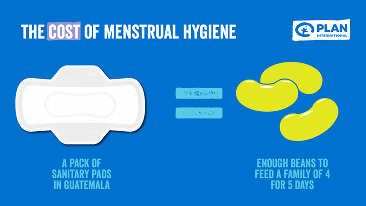 使い捨てナプキン１パックは、1家族4〜5日分の豆の価格に相当（グアテマラ）
