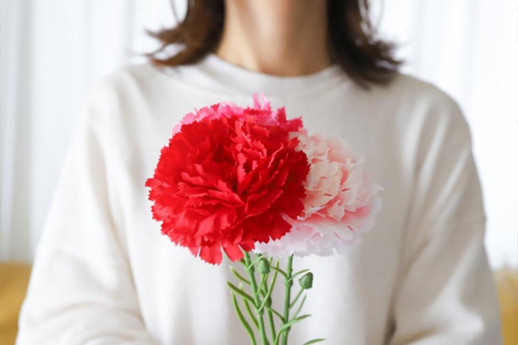 イメージ：カーネーションを持つ女性