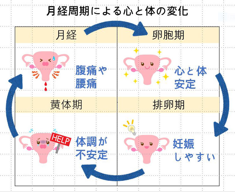 講座の資料の一部(イメージ)