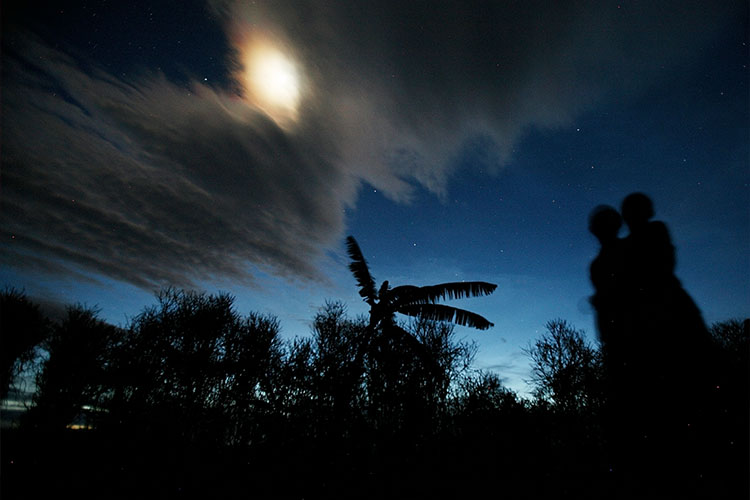 写真：月を見上げる子どもたち（ルワンダ）