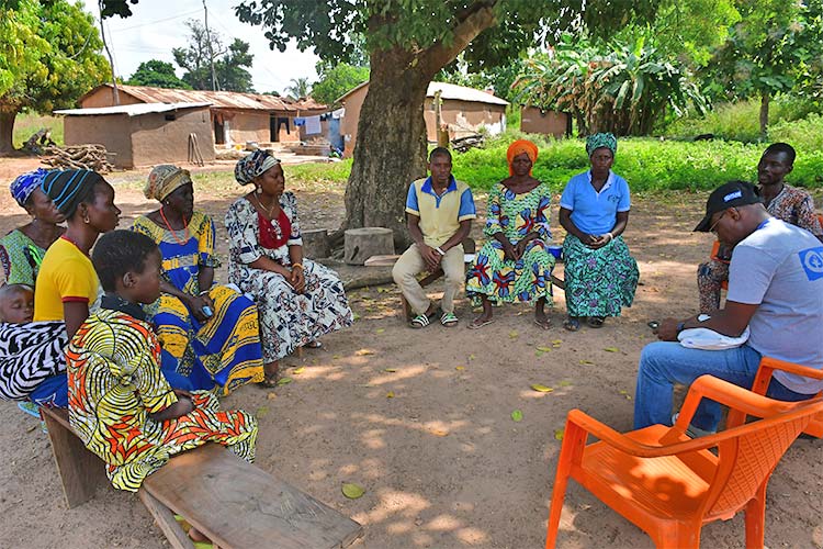写真:木の下会議場の様子