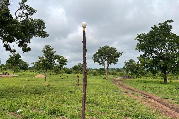 写真:地域の人々の願いを込めて