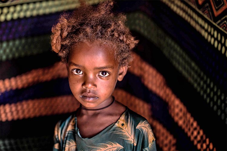 モティちゃん（5歳）