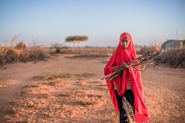 写真：薪を集める女の子（ソマリア）