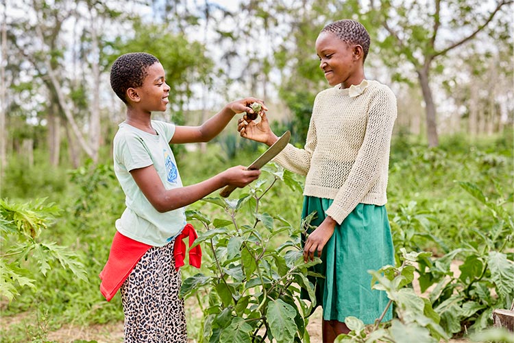 写真:学校菜園で野菜作りを学ぶ女の子たち(ケニア)