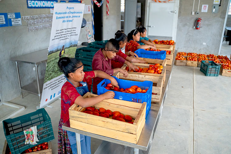 写真：ラ・ティンタ市での農産物イベント