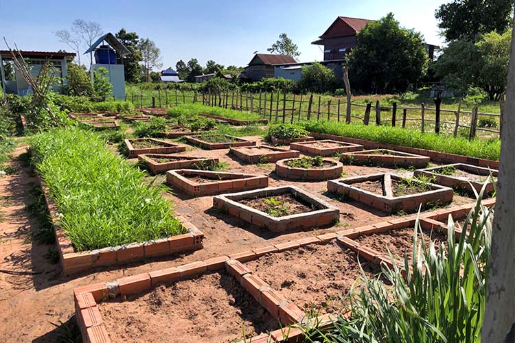 写真：学校菜園が算数や理科の勉強に役立つデザインに進化