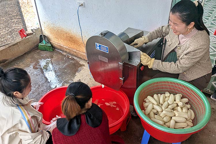 写真：2年後の姿。経済的に自立して自信がついたと話してくれた女性たち