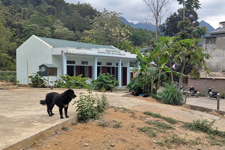 写真：1年後の姿。多目的に活用されていました！