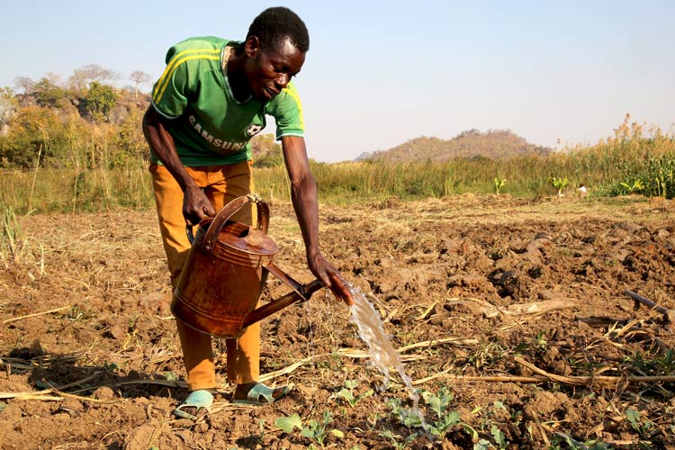 アフリカの水問題が子どもたちに与える影響とは?原因と現状について