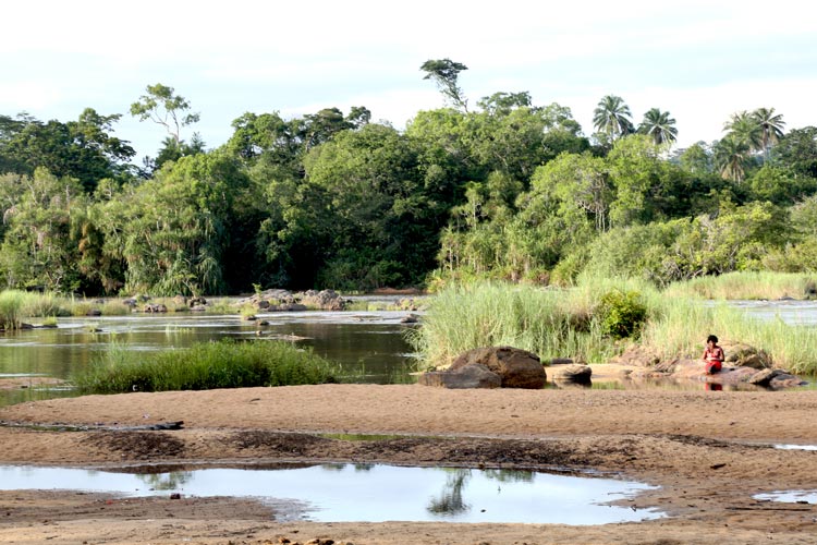 写真:川辺の風景(シエラレオネ)