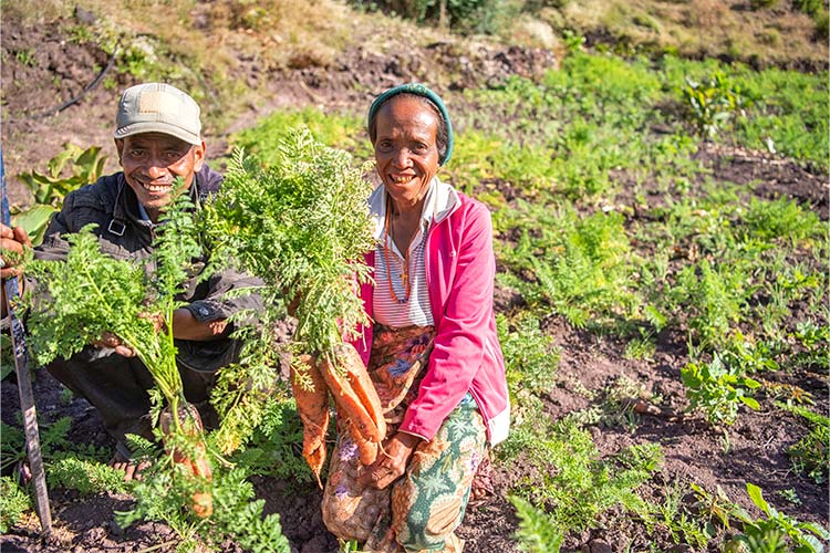 写真：気候変動に対応した栽培方法を学んだ農家（東ティモール）