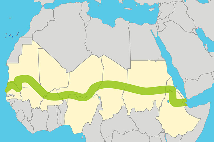 地図：グレート・グリーン・ウォール計画範囲