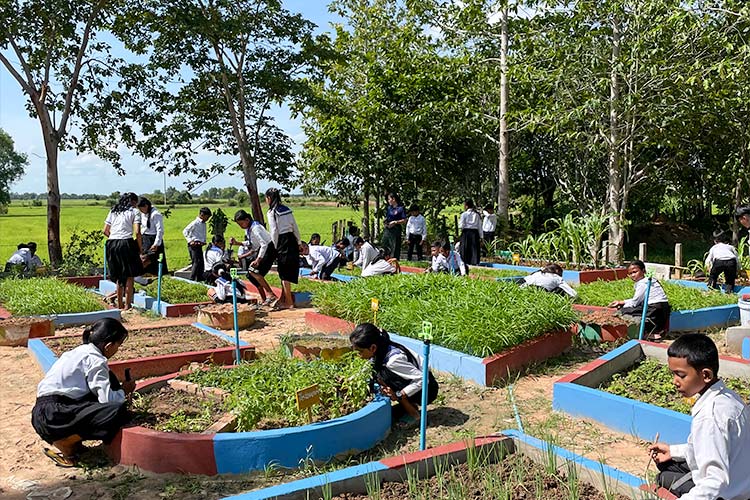写真：「学校菜園での学習」手法を用いて授業を展開